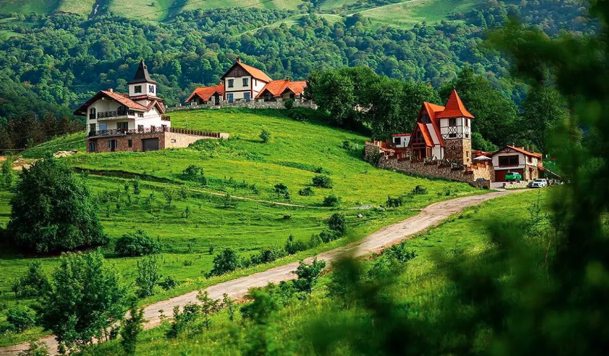 Zani Travel About Image